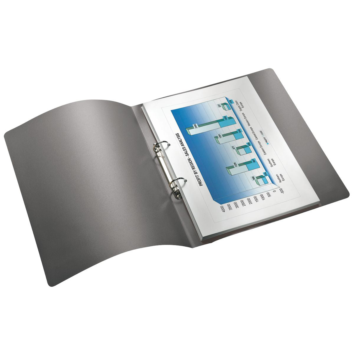 LEITZ Ringbuch Solid 456610 A4 PP 25mm 2-Ring schwarz