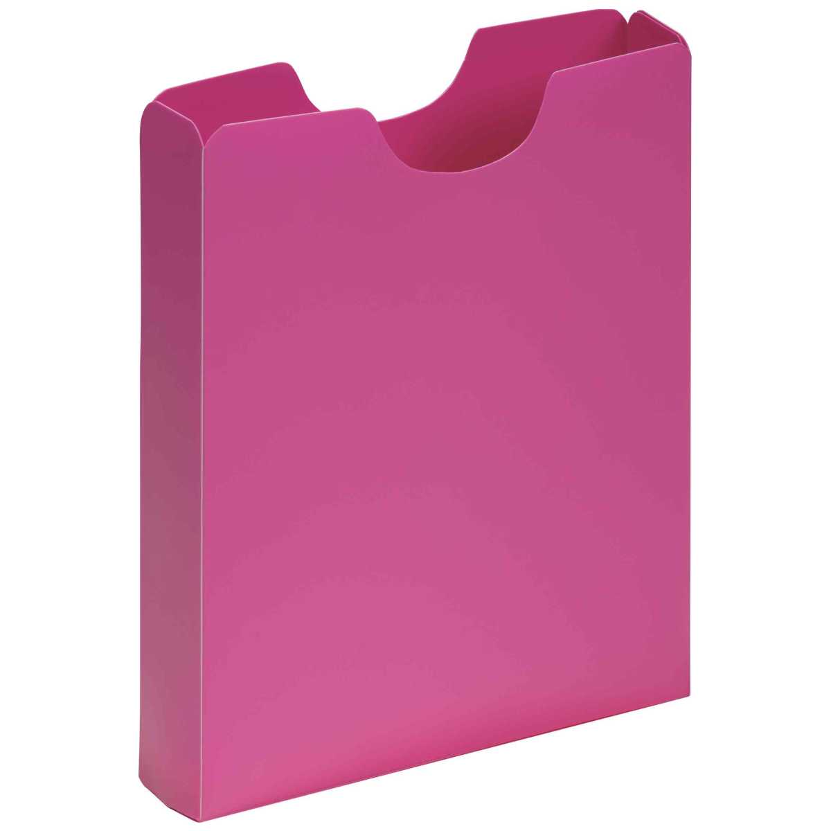 PAGNA Schulheftbox A4 50mm PP Kunststoff pink
