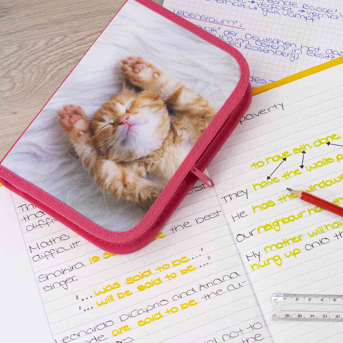 EBERHARD FABER Schüleretui mit 2 Klappen KATZE 42-teilig