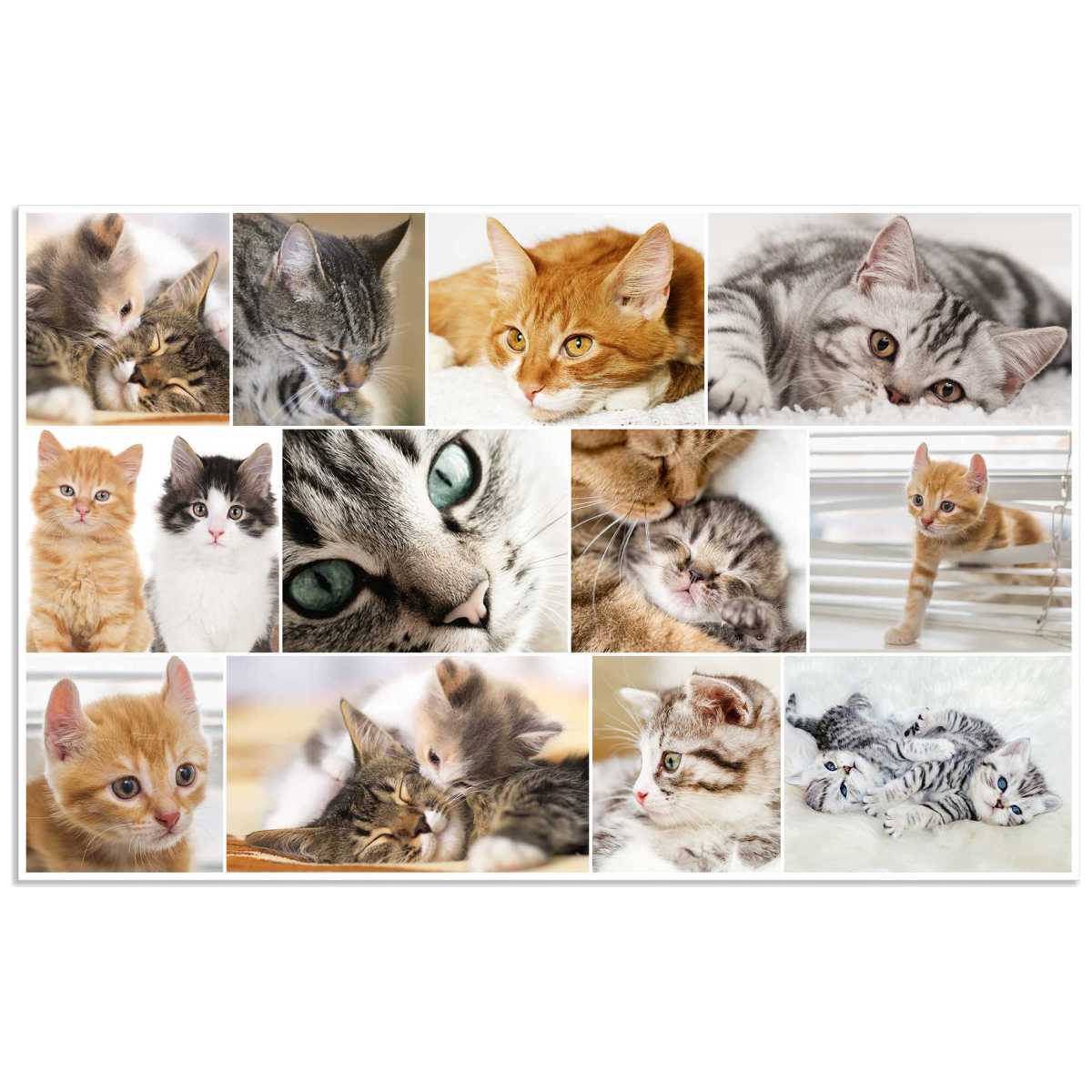 HERMA Schreibunterlage 55 x 35 cm Katzen