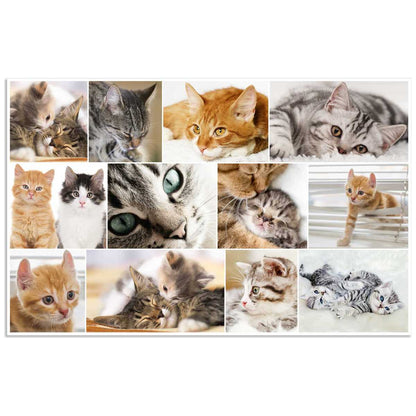 HERMA Schreibunterlage 55 x 35 cm Katzen