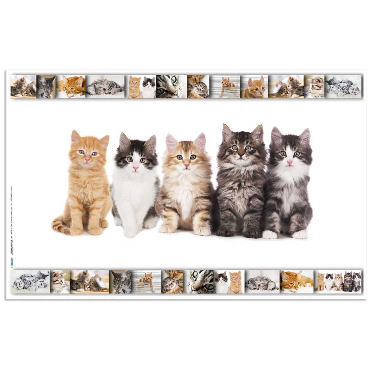 HERMA Schreibunterlage 55 x 35 cm Katzen