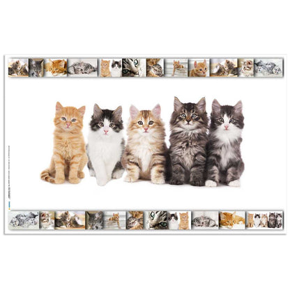 HERMA Schreibunterlage 55 x 35 cm Katzen