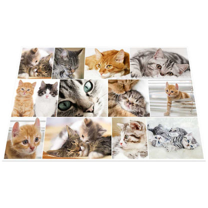 HERMA Schreibunterlage 55 x 35 cm Katzen