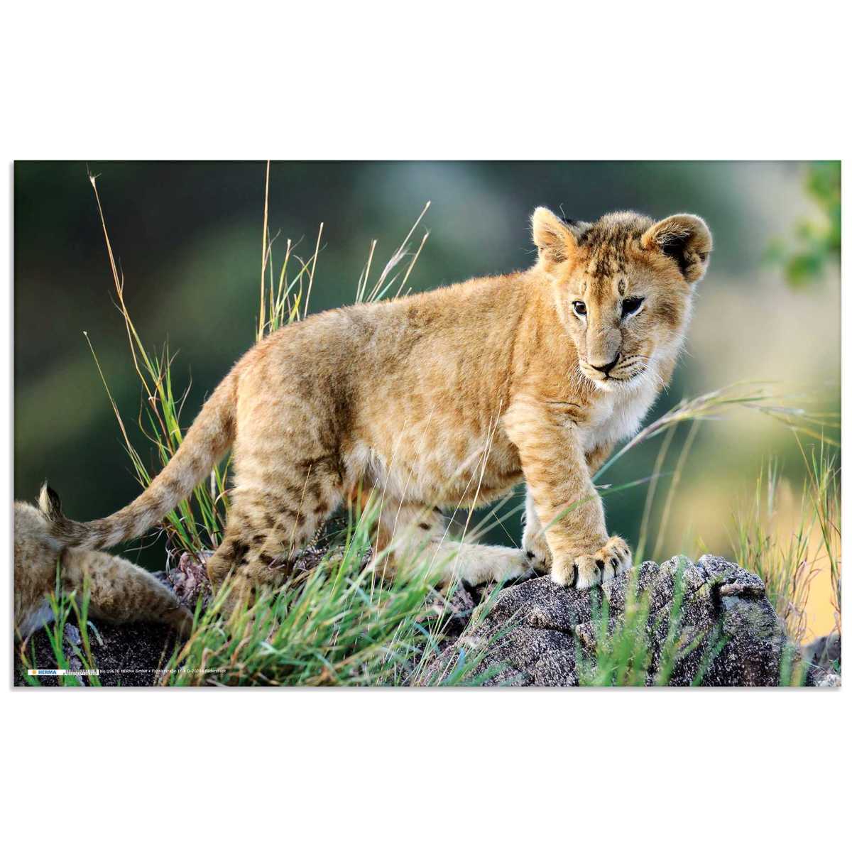 HERMA Schreibunterlage 55 x 35 cm Afrika Tiere