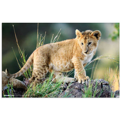 HERMA Schreibunterlage 55 x 35 cm Afrika Tiere