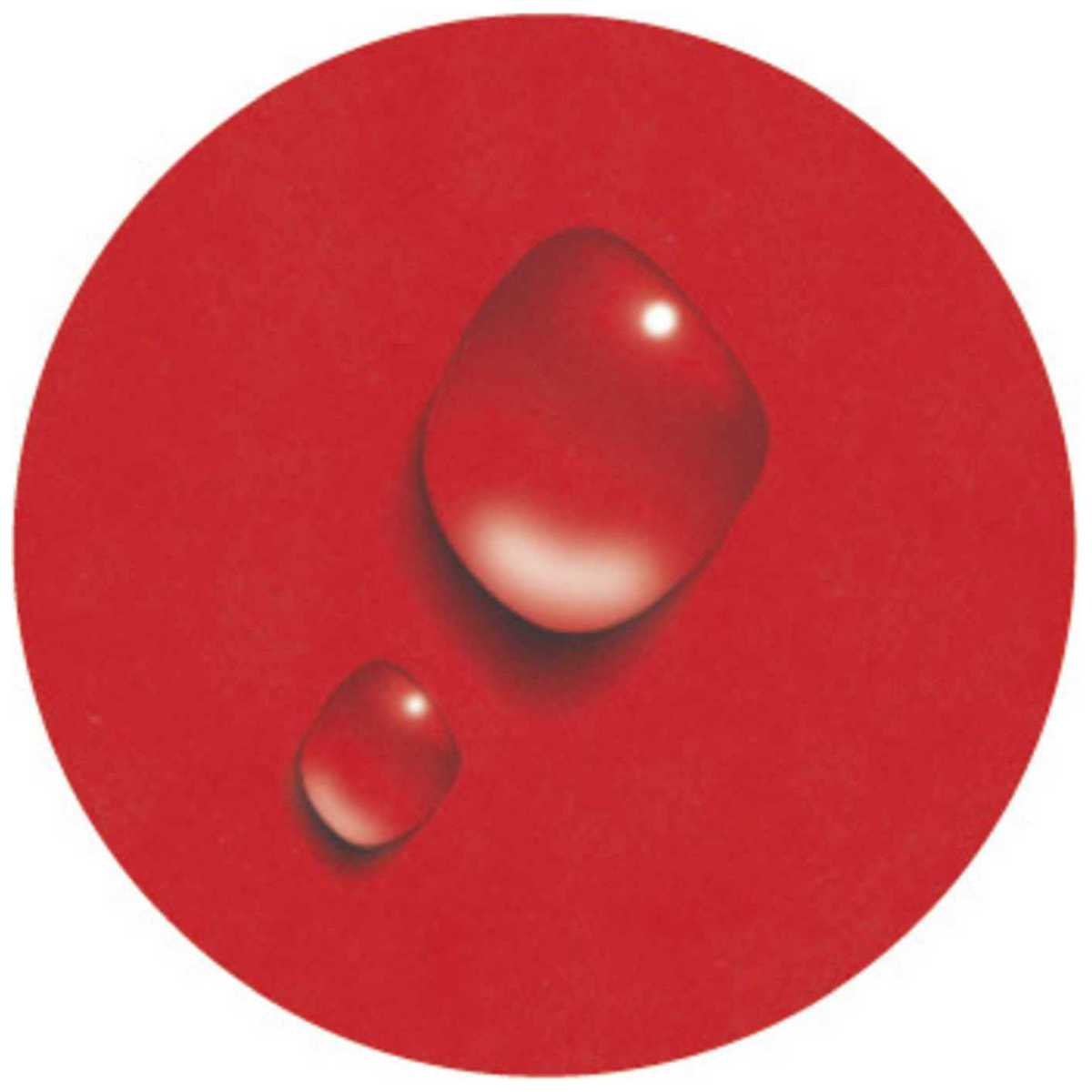 EXACOMPTA Ringbuch Iderama A4 2-Ring 15mm mit Gummizug rot