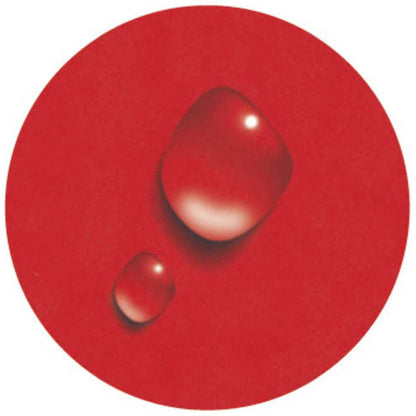 EXACOMPTA Ringbuch Iderama A4 2-Ring 15mm mit Gummizug rot