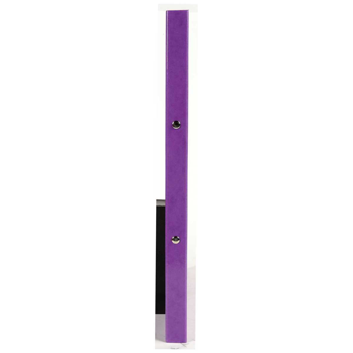 EXACOMPTA Ringbuch Iderama A4 2-Ring 15mm mit Gummizug violett
