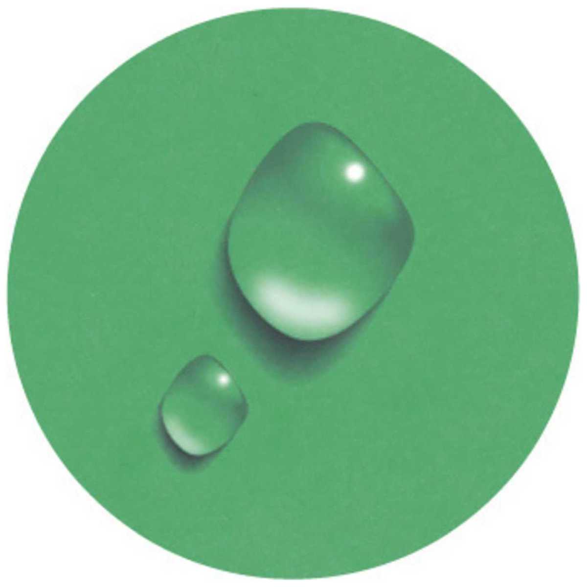 EXACOMPTA Ringbuch Iderama A4 2-Ring 15mm mit Gummizug dunkelgrün