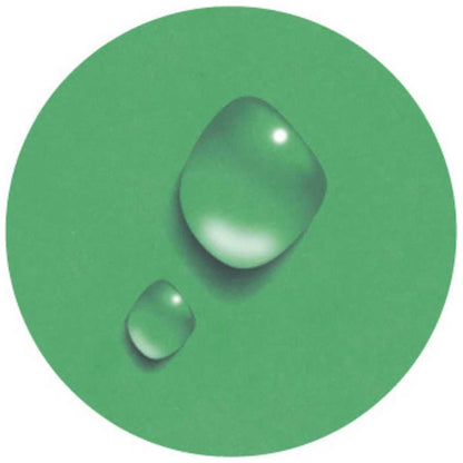EXACOMPTA Ringbuch Iderama A4 2-Ring 15mm mit Gummizug dunkelgrün