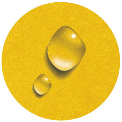 EXACOMPTA Ringbuch Iderama A4 2-Ring 15mm mit Gummizug gelb