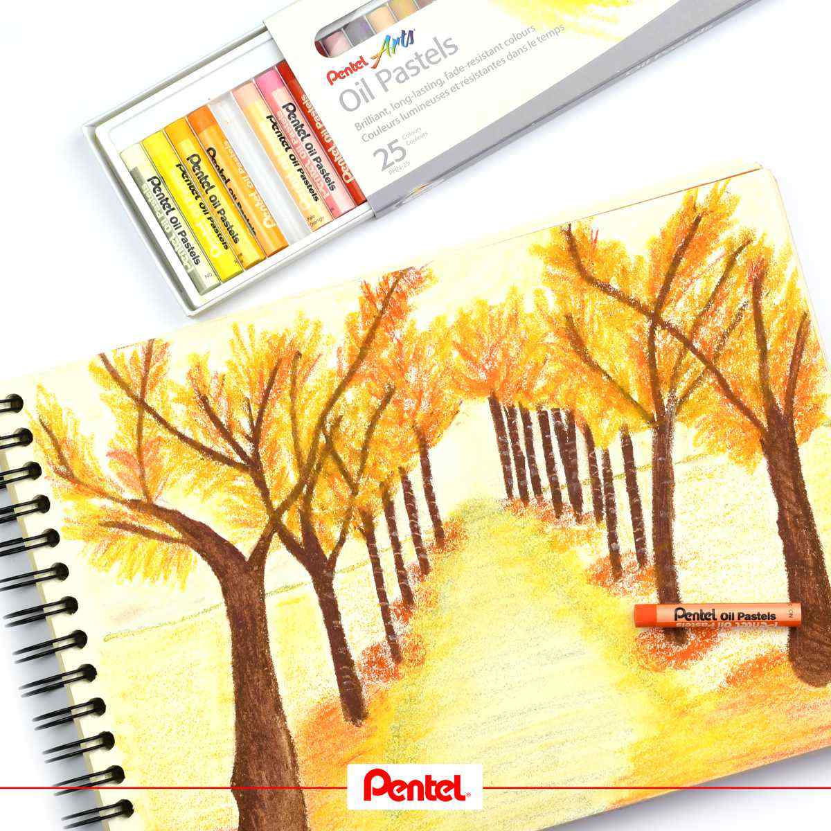 PENTEL Ölpastellkreide PHN-12 PentelARTS im Etui 12 Stück