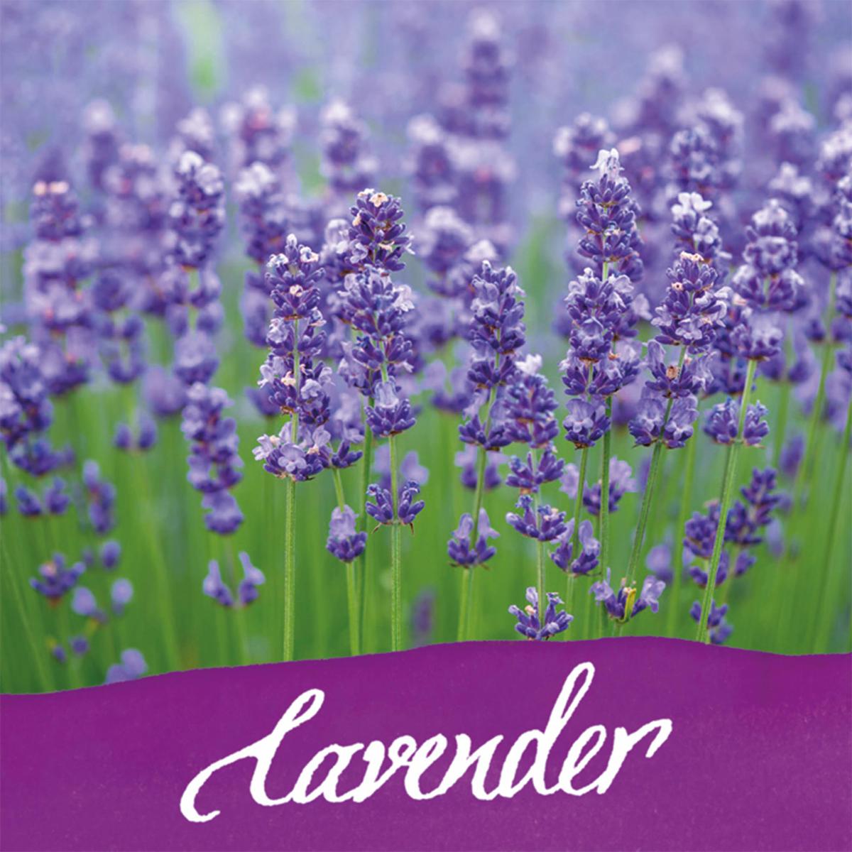 ONLINE Tinte im Glas mit Duft 15ml lila (Lavender)