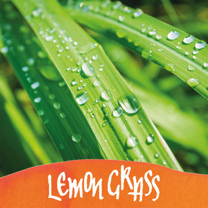 ONLINE Tinte im Glas mit Duft 15ml orange (Lemon Grass)