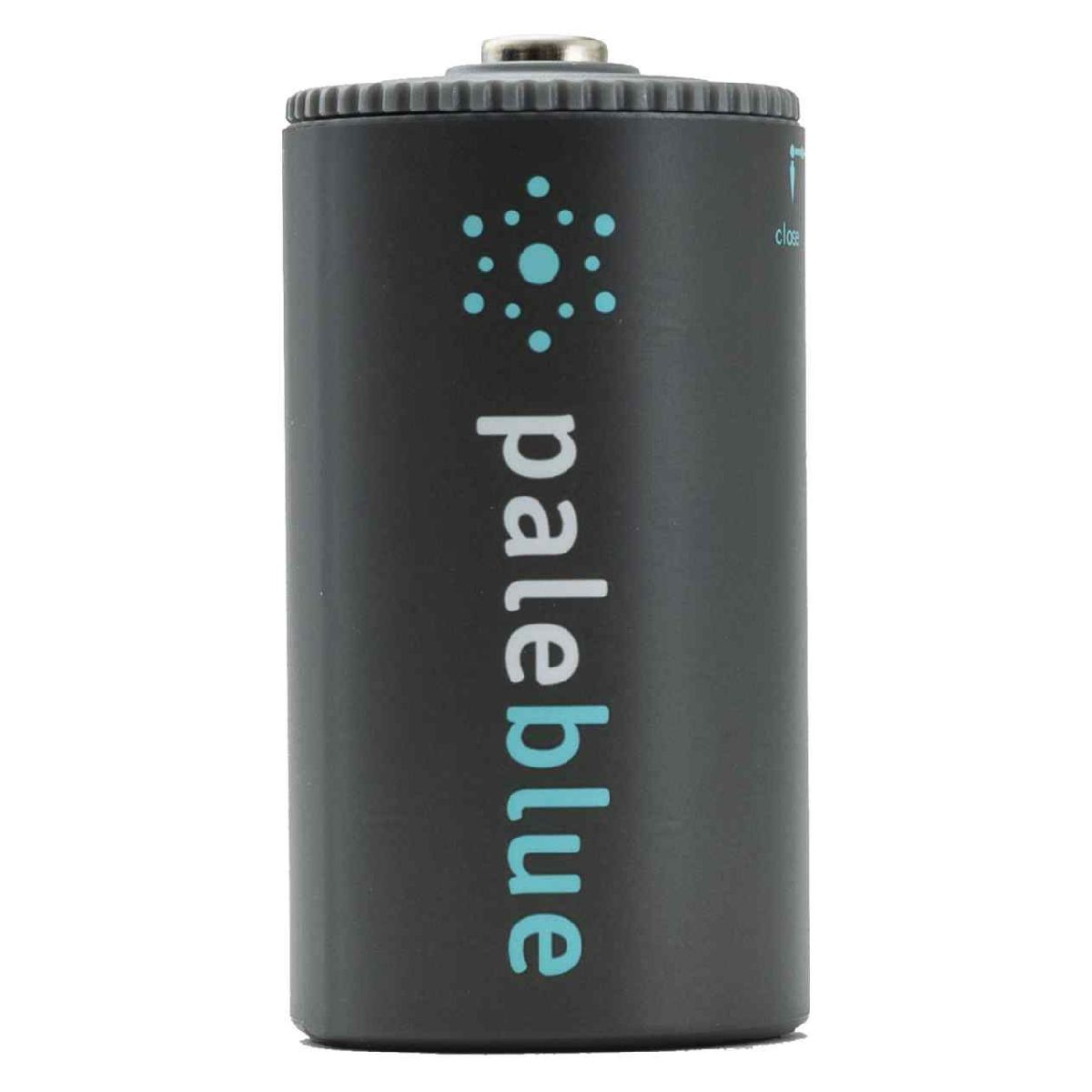 PALEBLUE Akku Mono D 1,5V USB-C 7400mAh 2 Stück