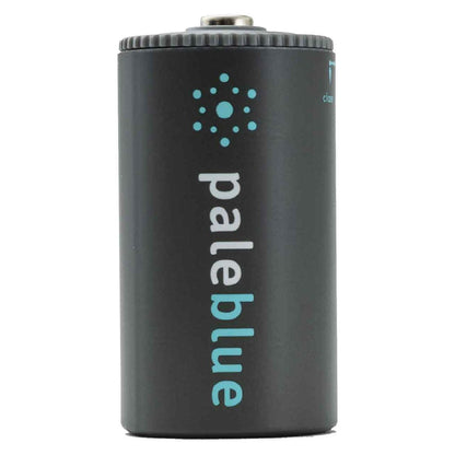PALEBLUE Akku Mono D 1,5V USB-C 7400mAh 2 Stück