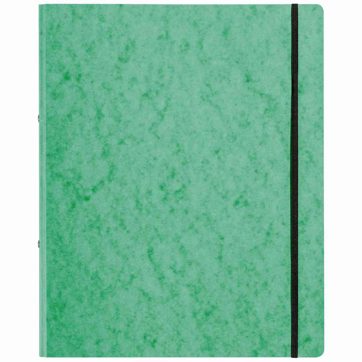 PAGNA Ringbuch 44100 A4 16mm 2-Ring mit Gummizug grün